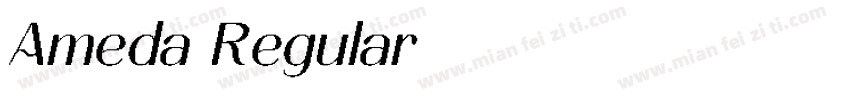 Ameda Regular字体转换